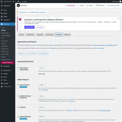 Page screenshot: Elementor → Settings → Features