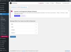 Page screenshot: Elementor → Role Manager