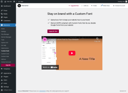 Page screenshot: Elementor &rarr; Custom Fonts