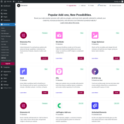 Page screenshot: Elementor &rarr; Add-ons
