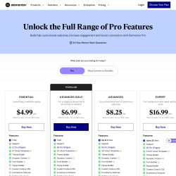 Page screenshot: Elementor &rarr; Upgrade