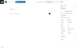 Page screenshot: Add Post &lsaquo; Test site &mdash; WordPress