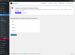 Page screenshot: Elementor &rarr; Role Manager