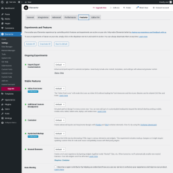 Page screenshot: Elementor &rarr; Settings &rarr; Features