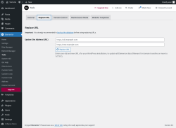 Page screenshot: Elementor &rarr; Tools &rarr; Replace URL