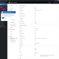 Page screenshot: Elementor &rarr; Editor &rarr; System