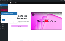 Page screenshot: Elementor