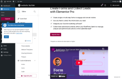 Page screenshot: Elementor &rarr; Editor &rarr; Submissions