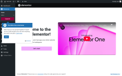 Page screenshot: Elementor