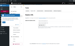 Page screenshot: Elementor &rarr; Editor &rarr; Tools &rarr; Replace URL