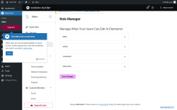Page screenshot: Elementor &rarr; Editor &rarr; Role Manager