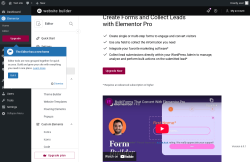 Page screenshot: Elementor &rarr; Editor &rarr; Submissions