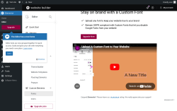 Page screenshot: Elementor &rarr; Editor &rarr; Custom Elements