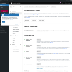 Page screenshot: Elementor &rarr; Editor &rarr; Settings &rarr; Features
