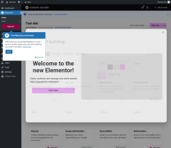 Page screenshot: Elementor