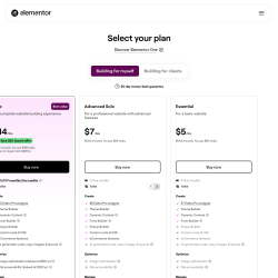 Page screenshot: Elementor &rarr; Upgrade