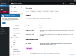 Page screenshot: Elementor &rarr; Editor &rarr; Settings