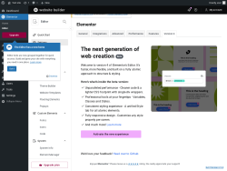 Page screenshot: Elementor &rarr; Editor &rarr; Settings &rarr; Version 4