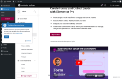 Page screenshot: Elementor &rarr; Editor &rarr; Submissions