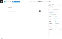 Page screenshot: Add Post &lsaquo; Test site &mdash; WordPress