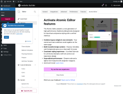 Page screenshot: Elementor &rarr; Editor &rarr; Settings &rarr; Atomic Editor
