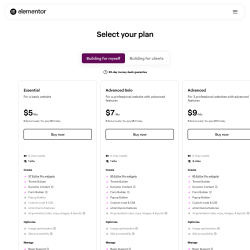 Page screenshot: Elementor &rarr; Upgrade