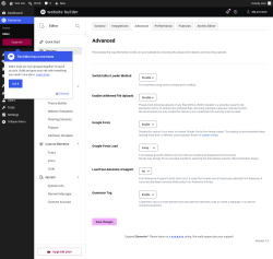 Page screenshot: Elementor &rarr; Editor &rarr; Settings &rarr; Advanced