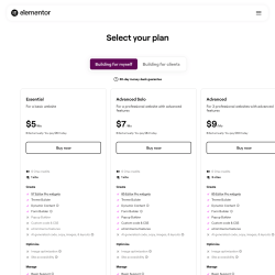 Page screenshot: Elementor &rarr; Upgrade