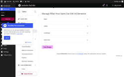 Page screenshot: Elementor &rarr; Editor &rarr; Role Manager