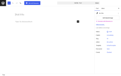 Page screenshot: Add Post &lsaquo; Test site &mdash; WordPress
