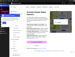 Page screenshot: Elementor &rarr; Editor &rarr; Settings &rarr; Atomic Editor