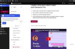 Page screenshot: Elementor &rarr; Editor &rarr; Submissions
