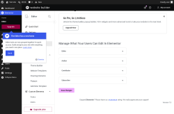 Page screenshot: Elementor &rarr; Editor &rarr; Role Manager