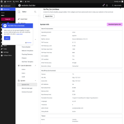 Page screenshot: Elementor &rarr; Editor &rarr; System
