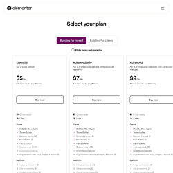 Page screenshot: Elementor &rarr; Upgrade