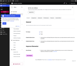 Page screenshot: Elementor &rarr; Editor &rarr; Settings