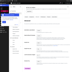 Page screenshot: Elementor &rarr; Editor &rarr; Settings &rarr; Advanced