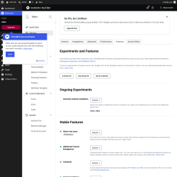 Page screenshot: Elementor &rarr; Editor &rarr; Settings &rarr; Features