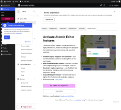 Page screenshot: Elementor &rarr; Editor &rarr; Settings &rarr; Atomic Editor