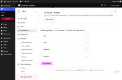 Page screenshot: Elementor &rarr; Editor &rarr; Role Manager