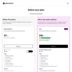 Page screenshot: Elementor &rarr; Upgrade