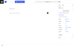 Page screenshot: Add Post &lsaquo; Test site &mdash; WordPress