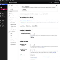 Page screenshot: Elementor &rarr; Editor &rarr; Settings &rarr; Features