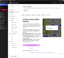 Page screenshot: Elementor &rarr; Editor &rarr; Settings &rarr; Atomic Editor