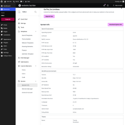 Page screenshot: Elementor &rarr; Editor &rarr; System