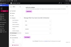 Page screenshot: Elementor &rarr; Editor &rarr; Role Manager