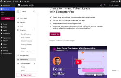 Page screenshot: Elementor &rarr; Editor &rarr; Submissions