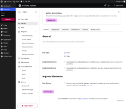 Page screenshot: Elementor &rarr; Editor &rarr; Settings