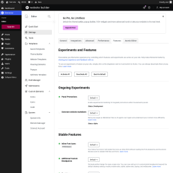 Page screenshot: Elementor &rarr; Editor &rarr; Settings &rarr; Features