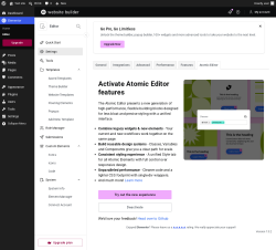 Page screenshot: Elementor &rarr; Editor &rarr; Settings &rarr; Atomic Editor